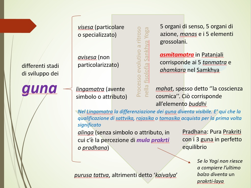 stadi evolutivi dei guna